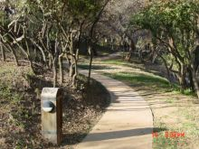 Dainfern Valley Walking Trail